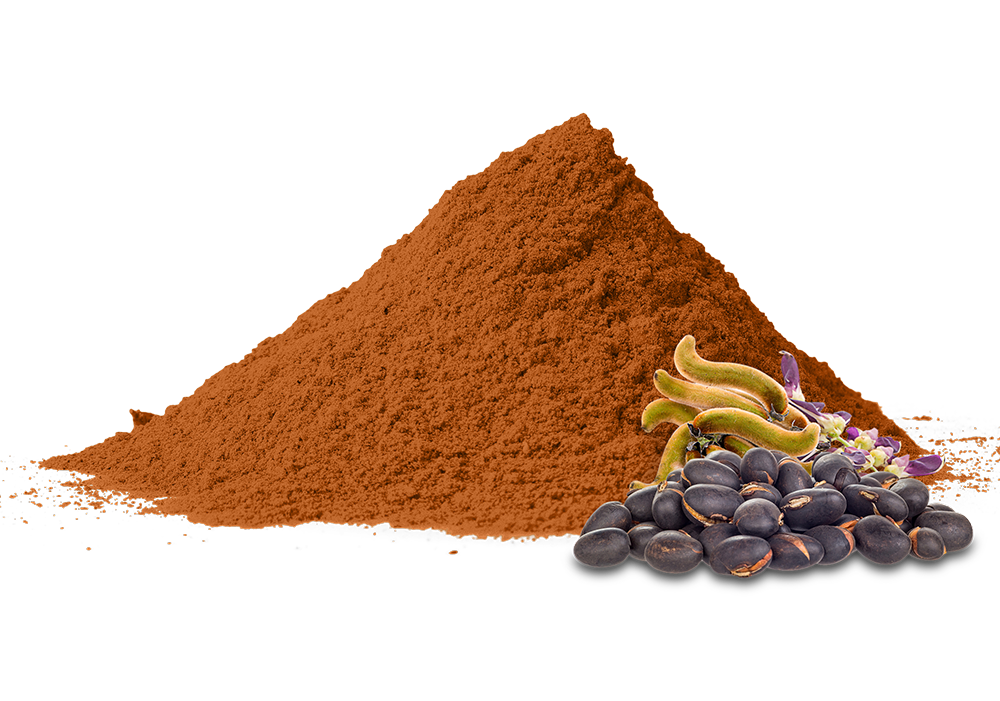 Mucuna